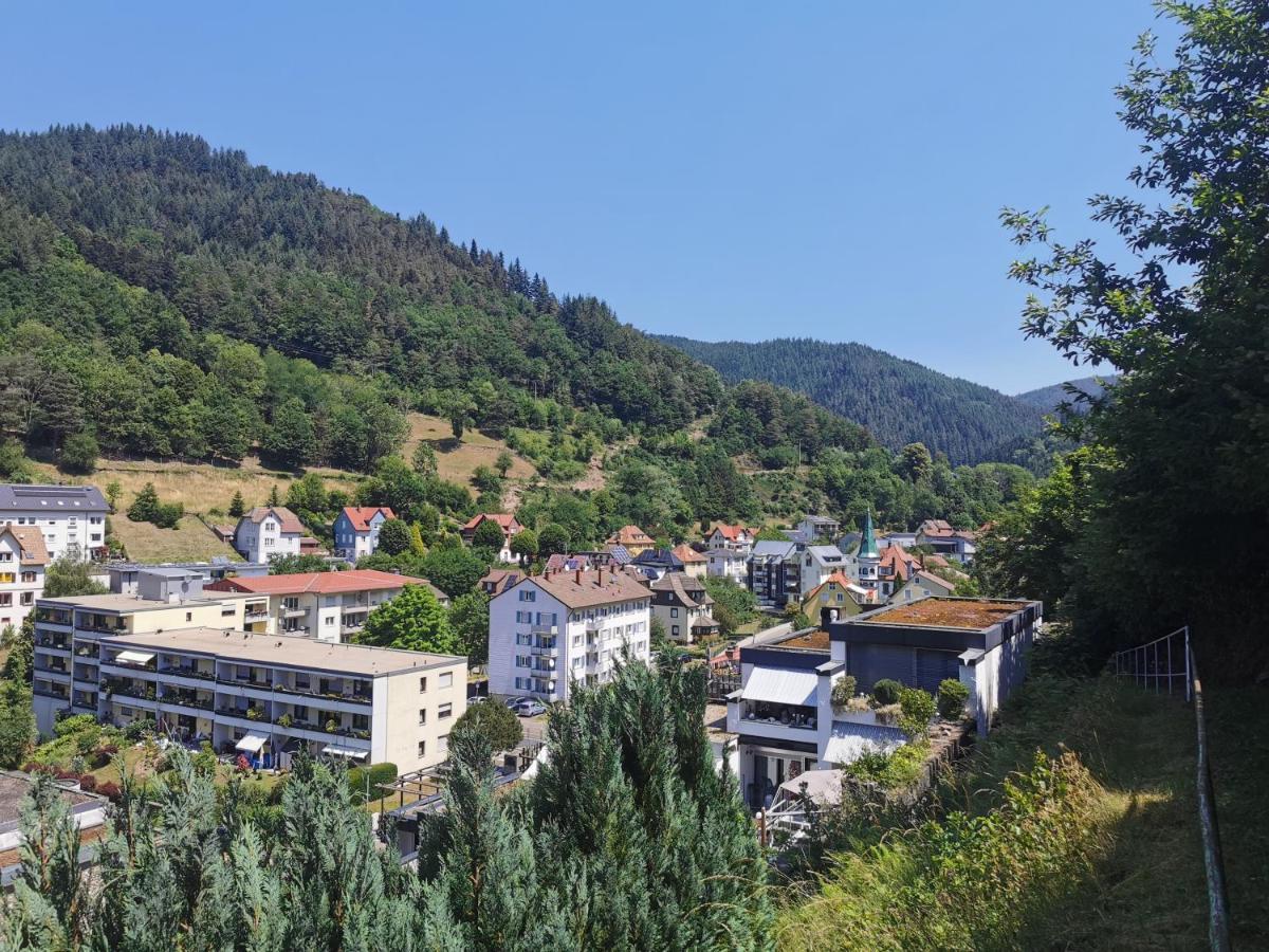 Terrassenwohnung Mit Toller Aussicht & Zentrumsnah 호른베르크 외부 사진